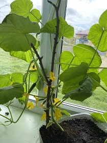 photo 2023-07-07 11-49-16