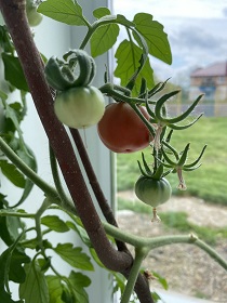 photo 2023-07-07 11-49-22